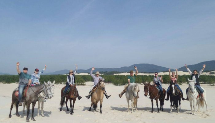 passeio-a-cavalo-florianopolis-prxfr44pp2s89y5pnfz6o25shzo8tnyty0wdvo68ww