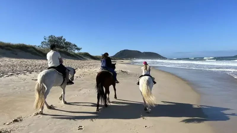 Grupo em cavalgada na Praia do Moçambique, em Florianópolis