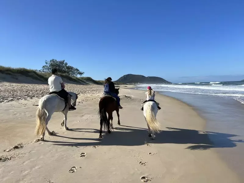 Grupo em cavalgada na Praia do Moçambique, em Florianópolis