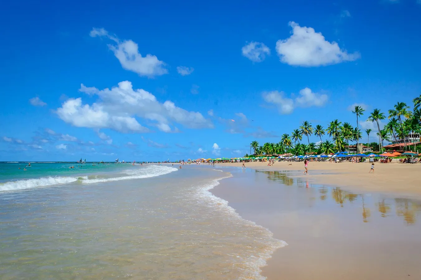 Praia de Porto de Galinhas com coqueiros e jangadas ao fundo